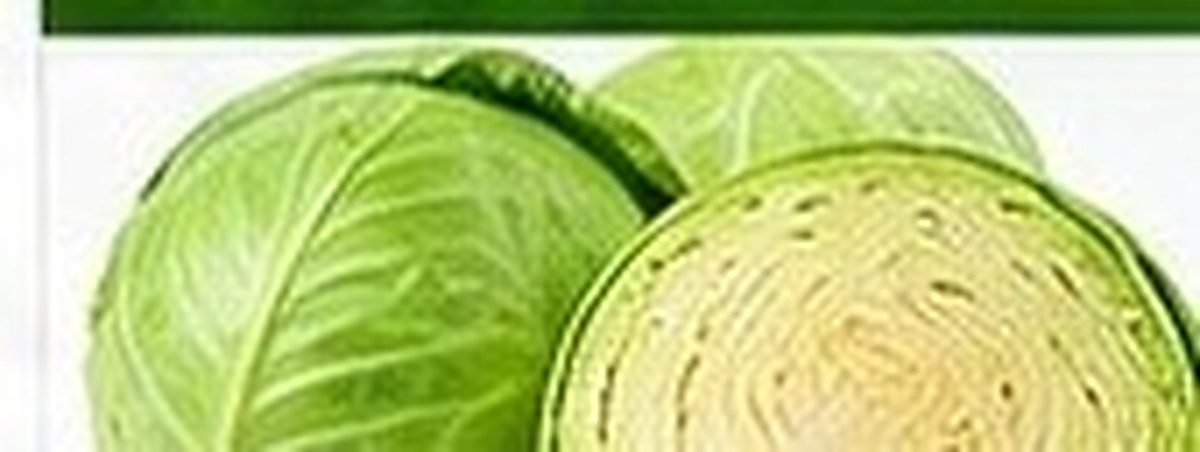 Cabbage photo
