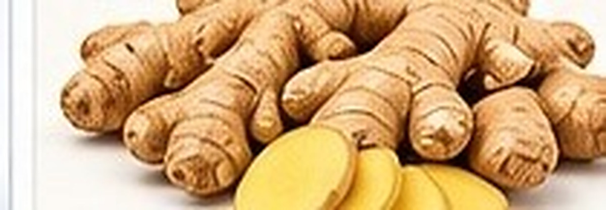 Ginger photo